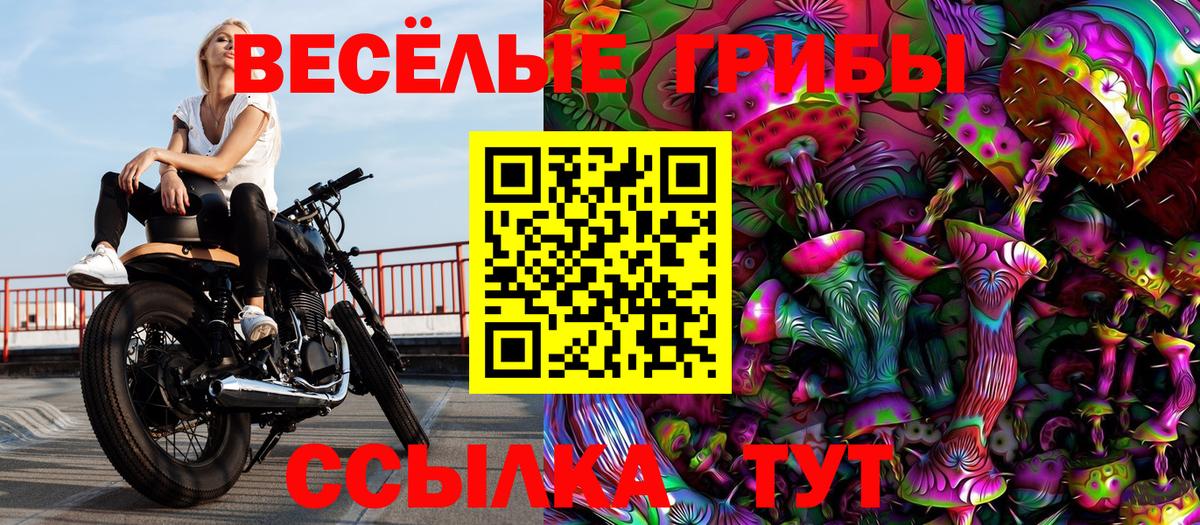 Псилоцибиновые грибы ЛСД  где можно купить наркотик  Верхняя Салда  Вход с VPN 