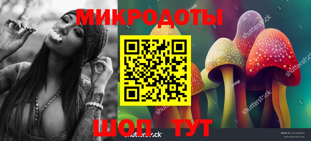 Галлюциногенные грибы мухоморы Верхняя Салда